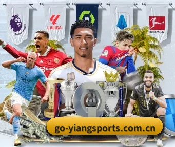国际化进程(EONSPORTS)